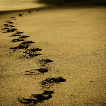Christ’s Walk of Love