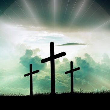 Embrace the Trial – Part 7