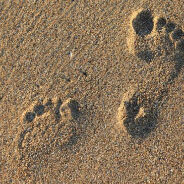 “Embrace the Trial” – Part 8