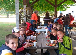 picnic